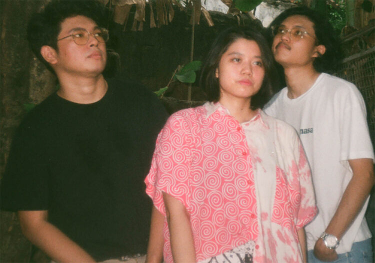 Fresh Apricot Company